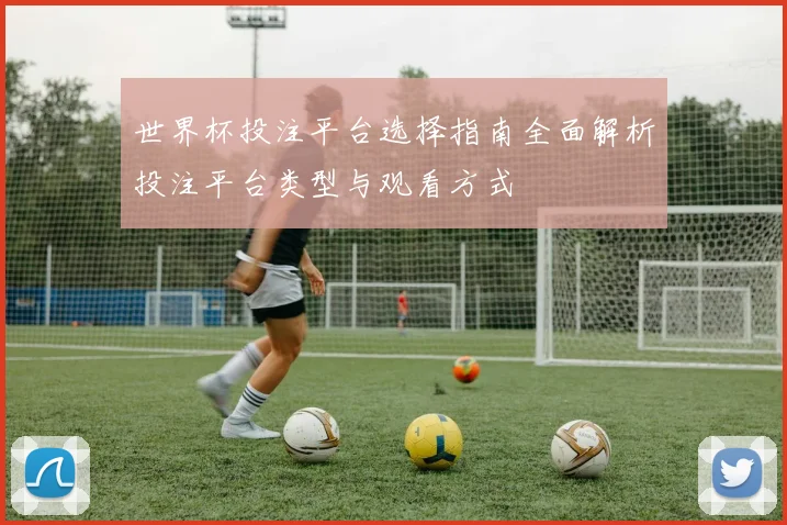 世界杯投注平台选择指南全面解析投注平台类型与观看方式