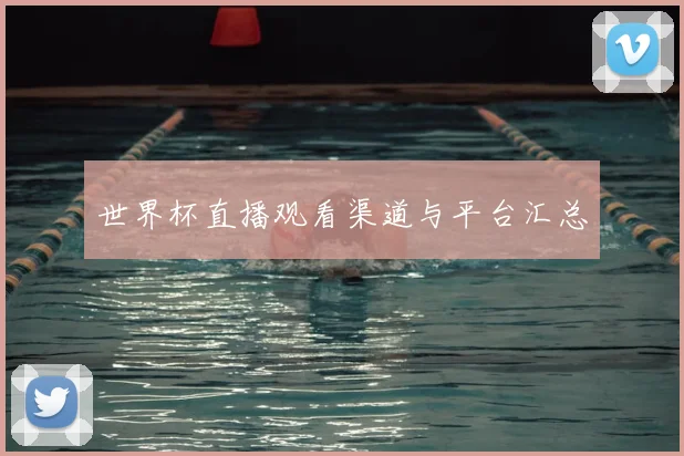世界杯直播观看渠道与平台汇总