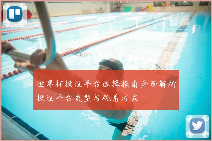 世界杯投注平台选择指南全面解析投注平台类型与观看方式